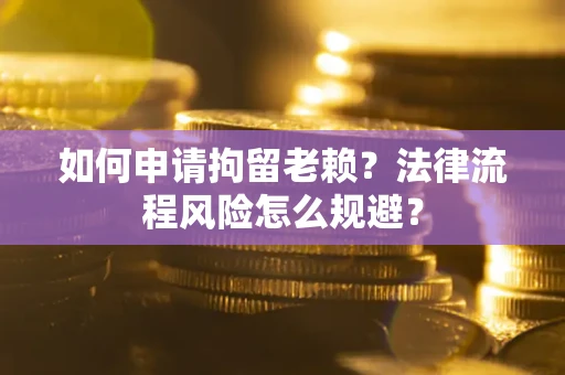武汉如何申请拘留老赖？法律流程风险怎么规避？