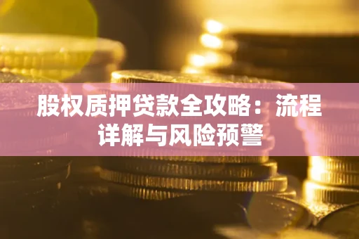 武汉股权质押贷款全攻略：流程详解与风险预警