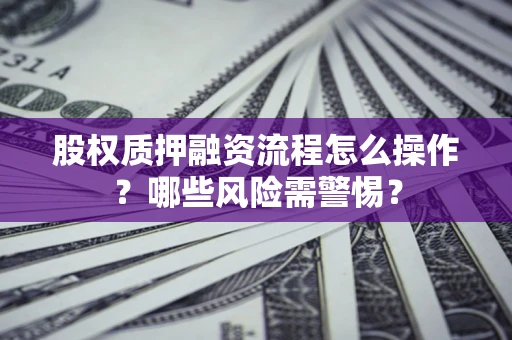 武汉股权质押融资流程怎么操作？哪些风险需警惕？
