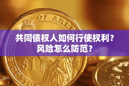武汉共同债权人如何行使权利？风险怎么防范？