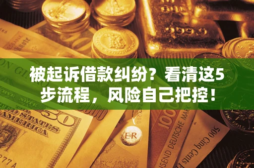 武汉被起诉借款纠纷？看清这5步流程，风险自己把控！