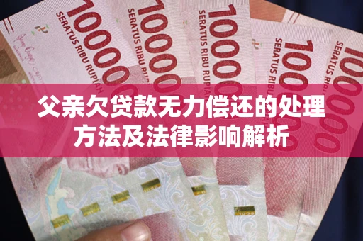 武汉父亲欠贷款无力偿还的处理方法及法律影响解析
