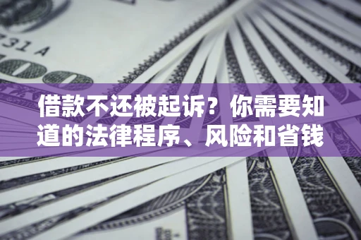 武汉借款不还被起诉？你需要知道的法律程序、风险和省钱技巧