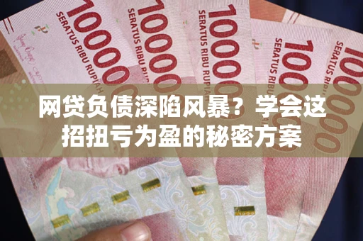 武汉网贷负债深陷风暴？学会这招扭亏为盈的秘密方案